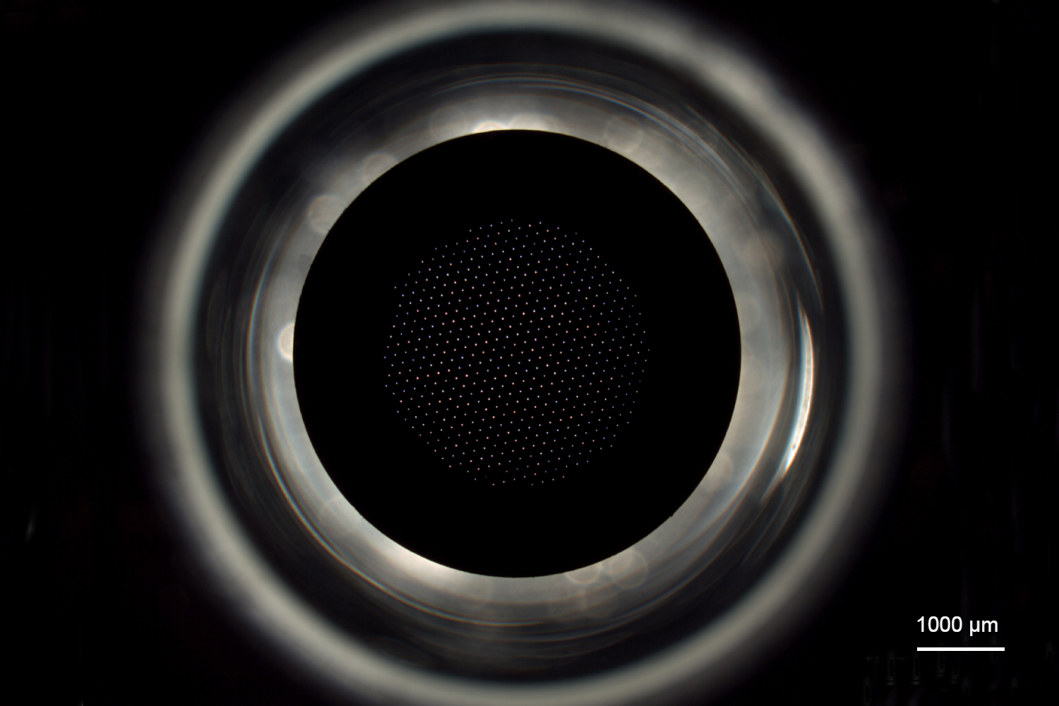 filter-1-2.jpg