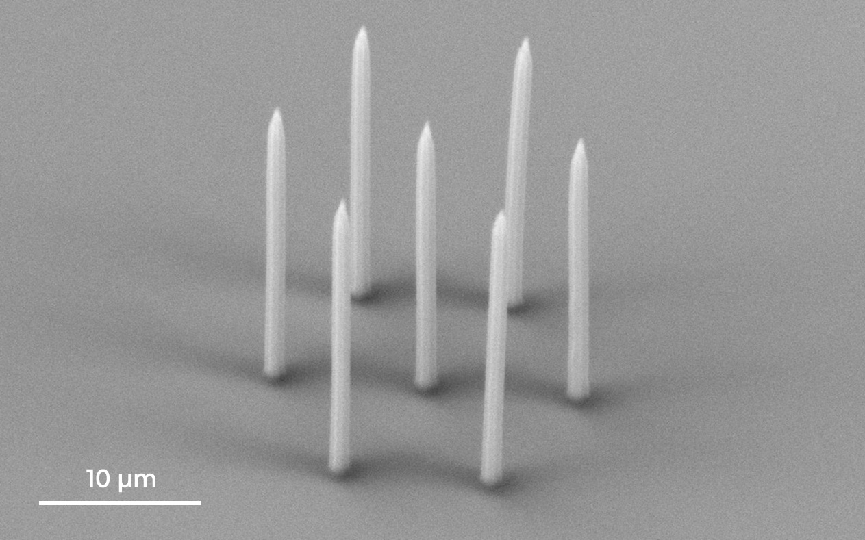nanoneedles.jpg